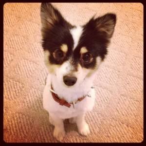 Meet your Posher, Michael